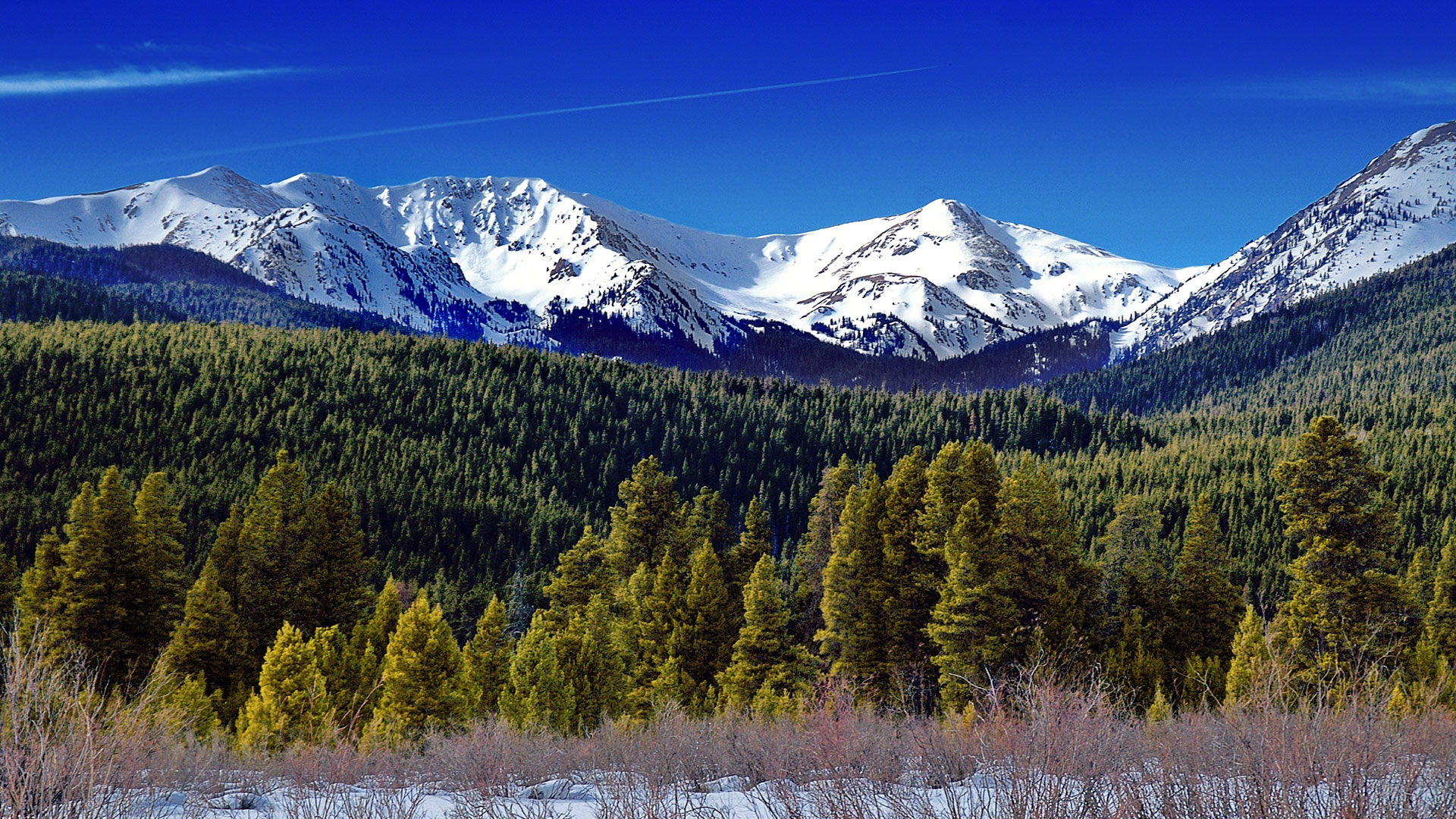 Startup IP Law, LLC is here to help create the Intellectual Property and business solutions you need and can fit into your budget.