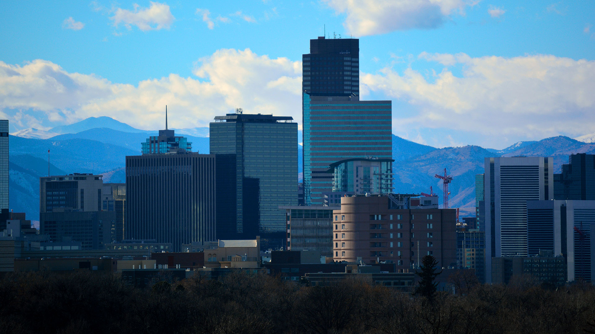 There's no cookie-cutter solution for your IP needs.